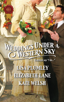 Title details for Weddings Under a Western Sky: The Hand-Me-Down Bride\The Bride Wore Britches\Something Borrowed, Something True by Elizabeth Lane - Available